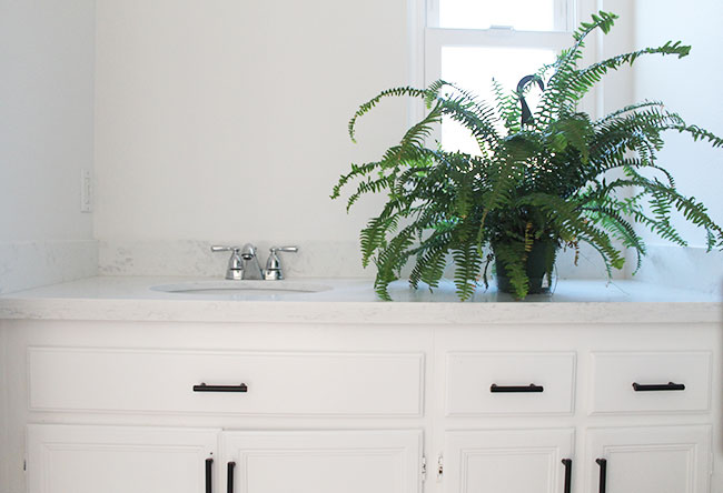 Small bathroom makeover - countertop and faucet upgrades