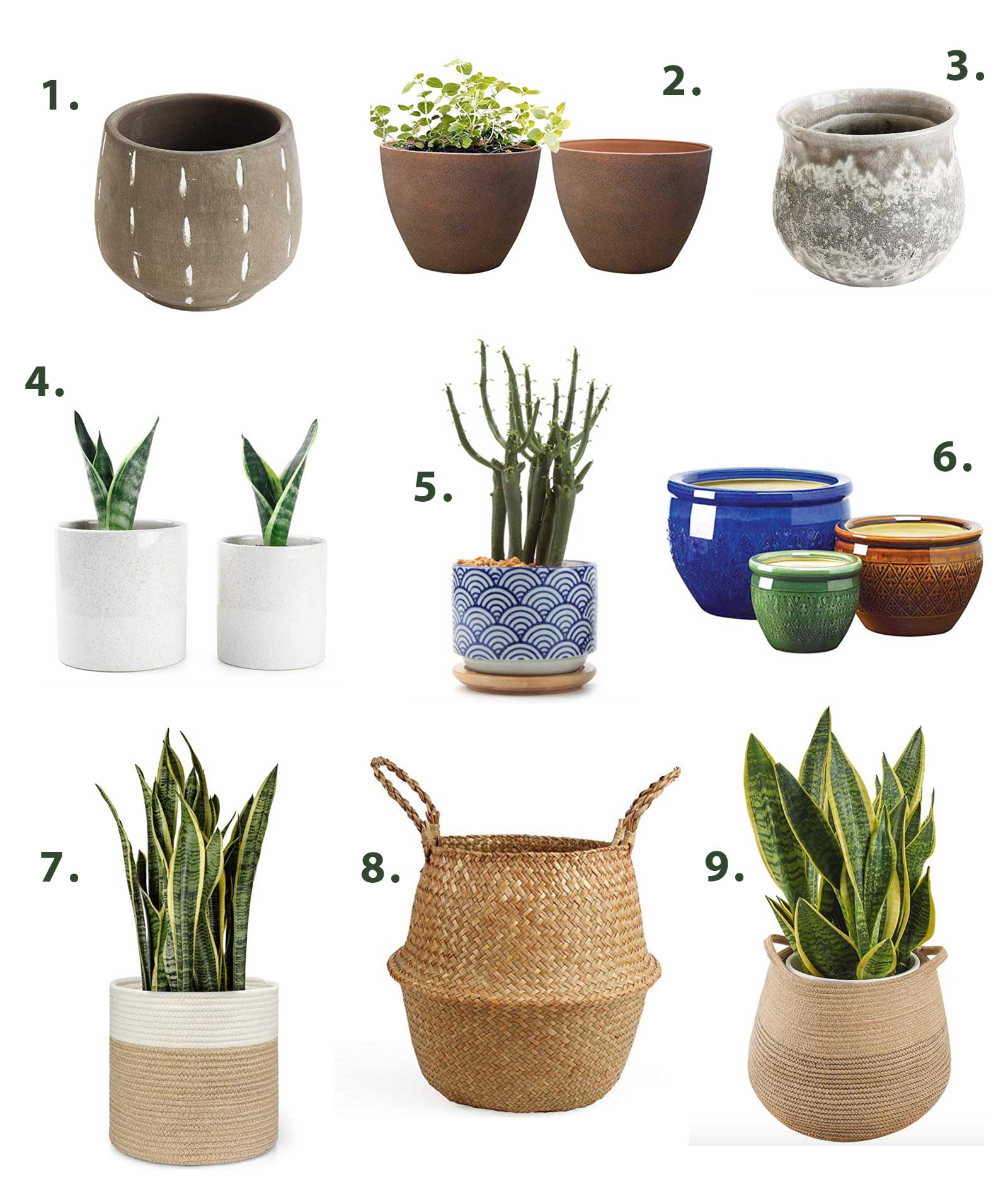 Plastic-Free plant pot options