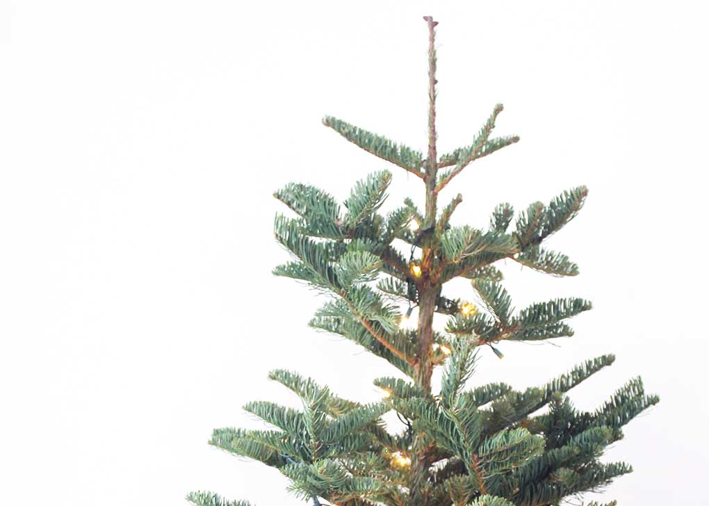 Minimalist Christmas Tree Decorations