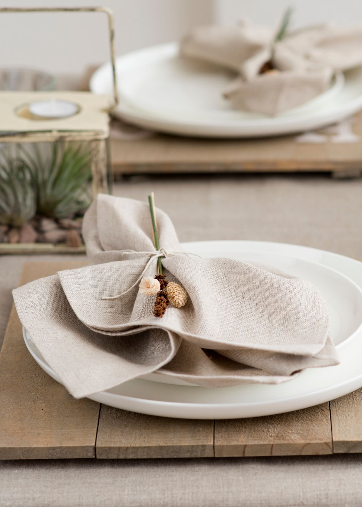 Episode #025: Making the Switch to Cloth Napkins