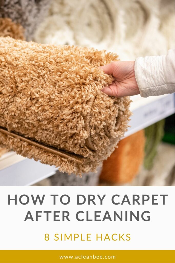 Did your carpet cleaning leave your carpet feeling damp or wet? Here’s how to dry your carpet after cleaning.