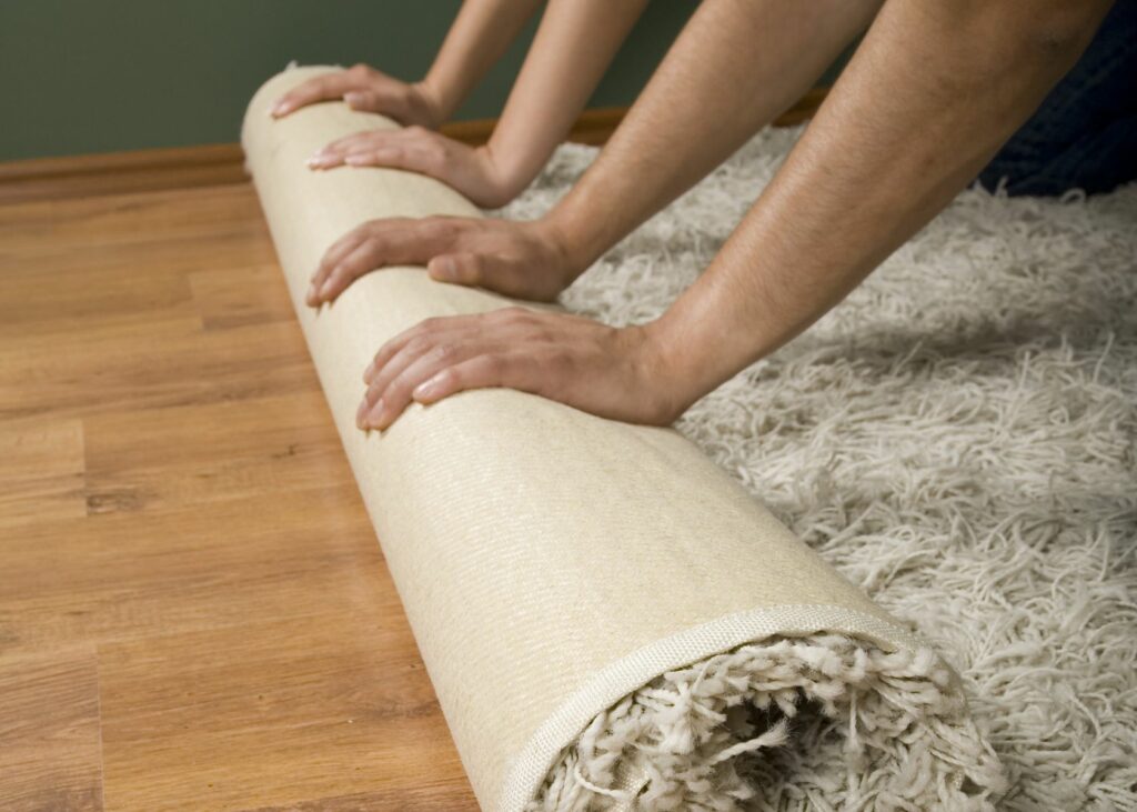 Expose the pad underneath thick rugs to dry wet carpet.