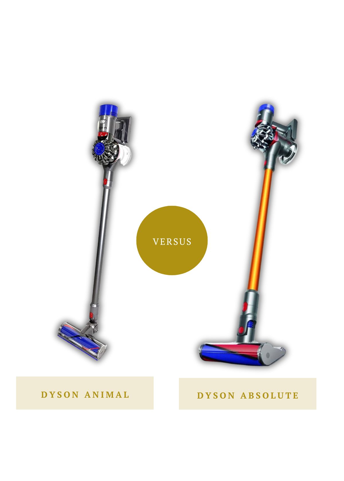 Dyson Animal vs. Absolute 