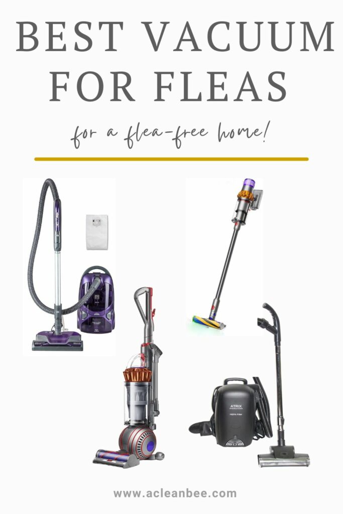 Vacuum brands with text overlay Best Vacuum For Fleas for a flea-free home - Best Vacuum for Flea