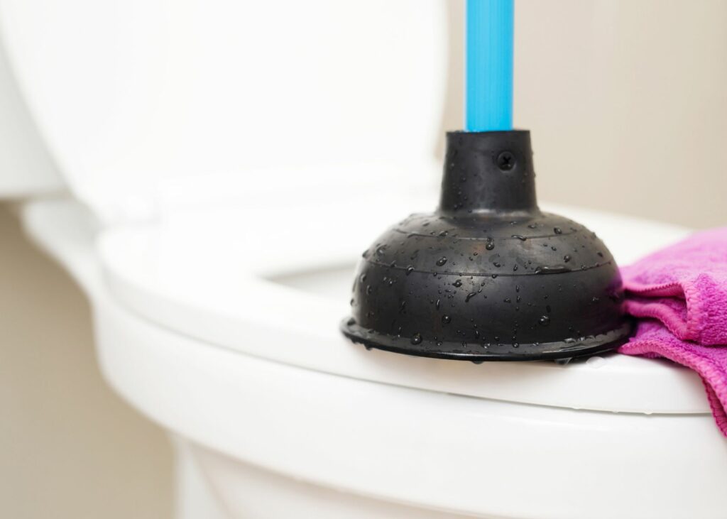 Toilet plunger on a toilet bowl - How to Clean a Toilet Plunger